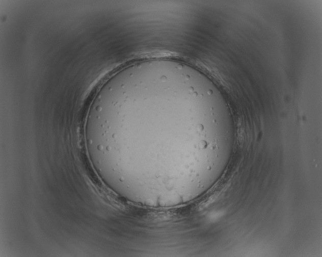 X0000074300351200608250958