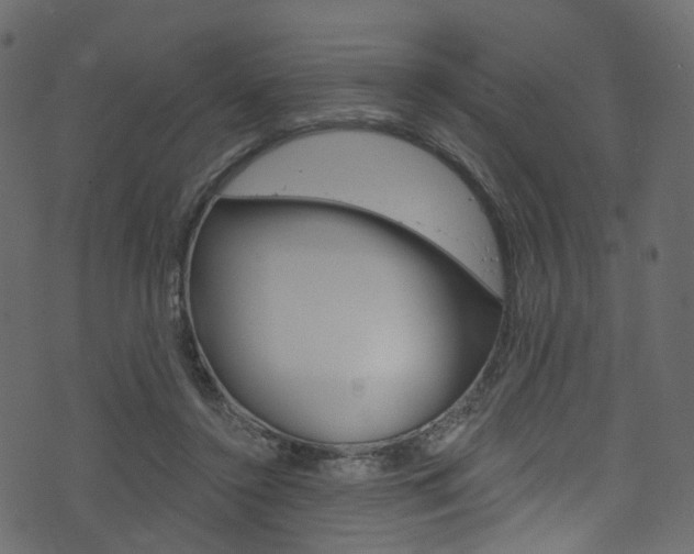 X0000074300356200608250958