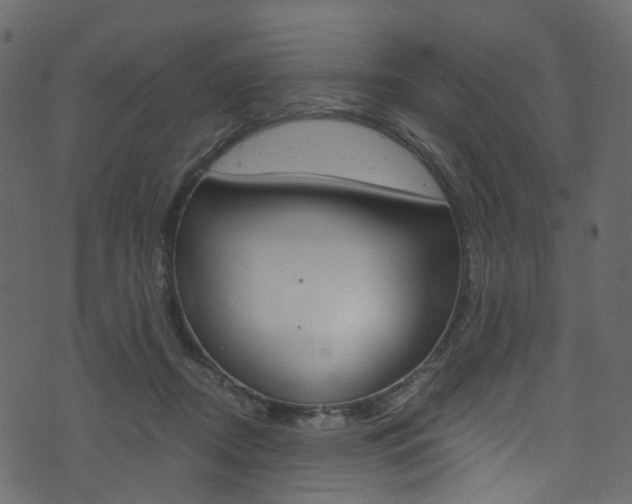 X0000074300362200608250958