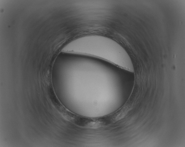 X0000074300364200608250958