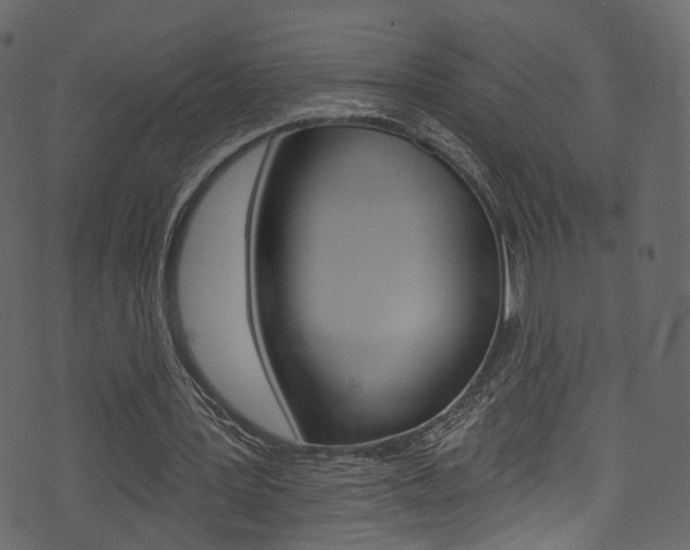 X0000074300387200608250957