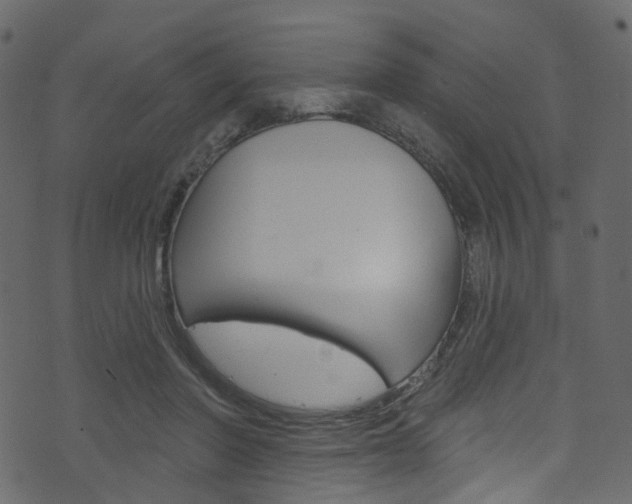 X0000074300406200608250957