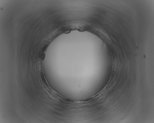 X0000074300413200608250957