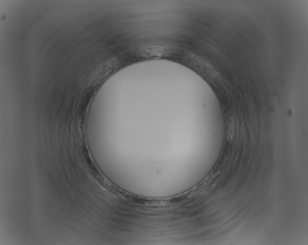 X0000074300414200608250957