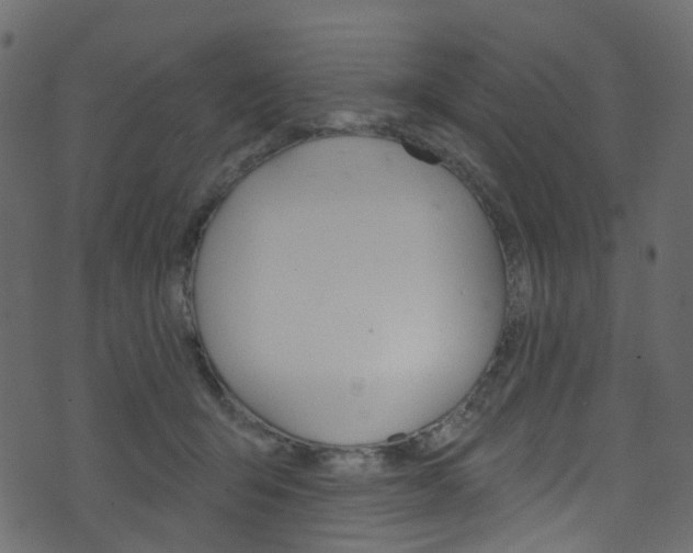 X0000074300415200608250957