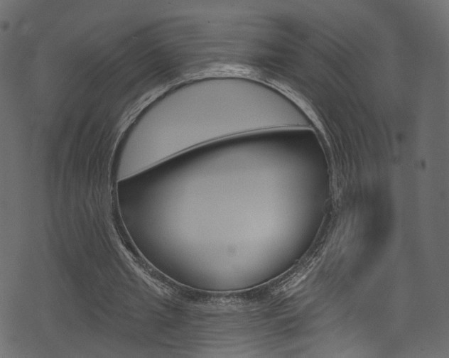 X0000074300437200608250956