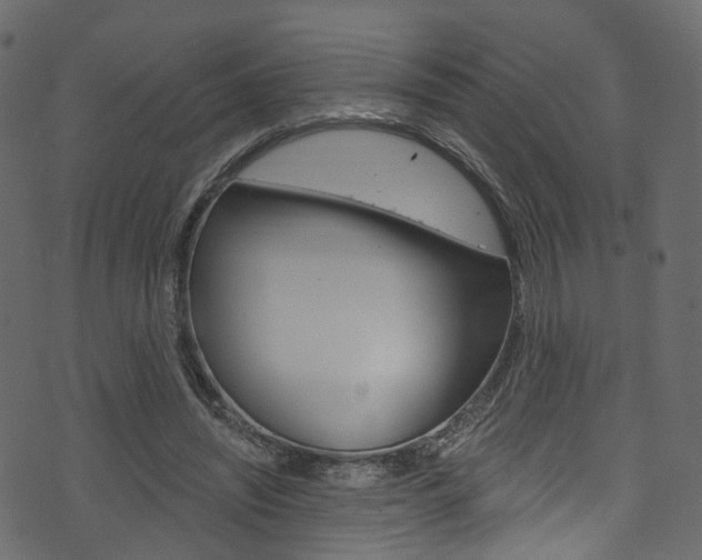 X0000074300444200608250956
