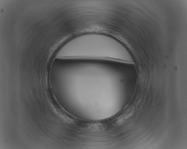 X0000074300446200608250956