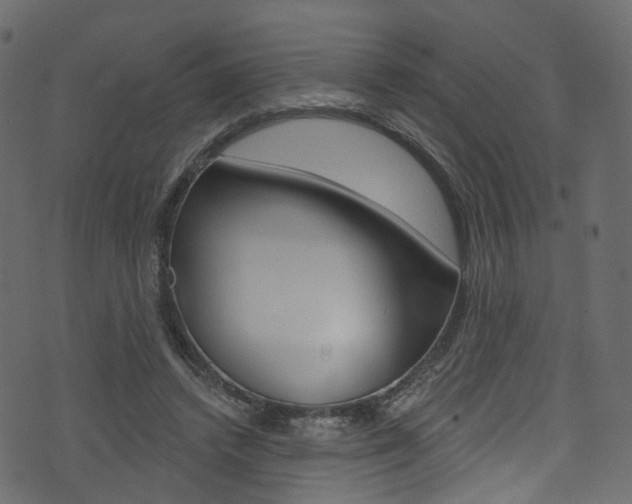 X0000074300448200608250956