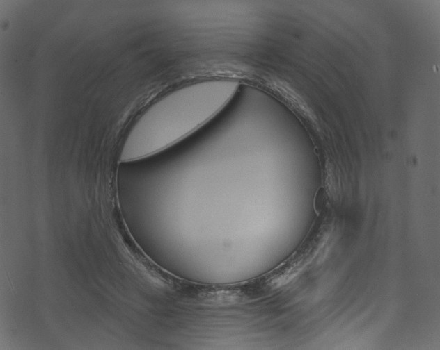 X0000074300449200608250956
