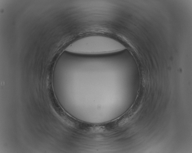 X0000074300451200608250956