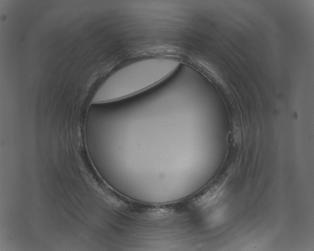 X0000074300453200608250956