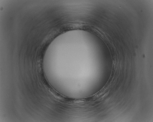 X0000074300462200608250956