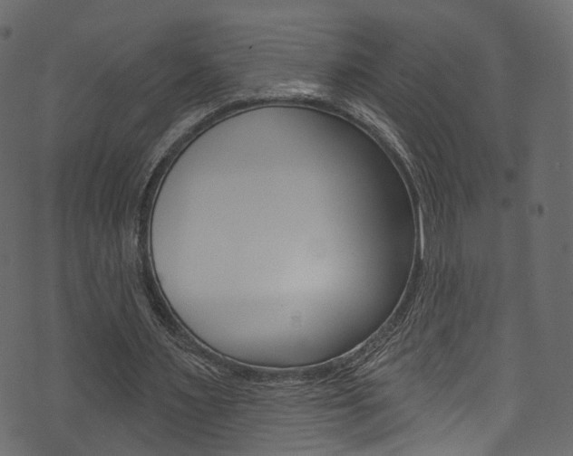 X0000074300483200608250956