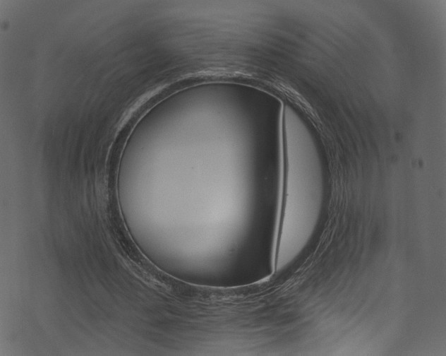 X0000074300484200608250956