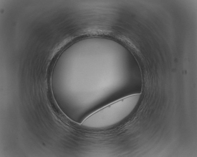 X0000074300488200608250956
