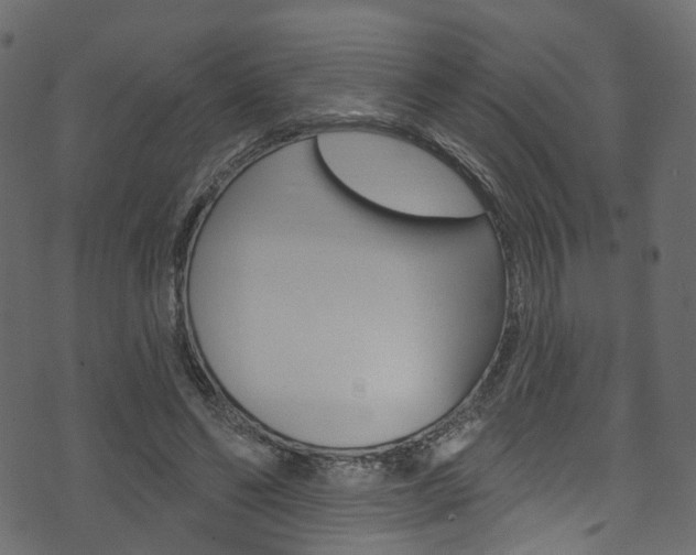X0000074300494200608250956