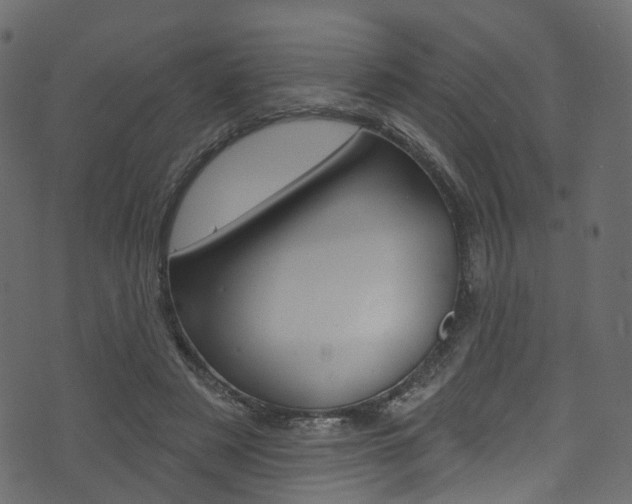 X0000074300497200608250956