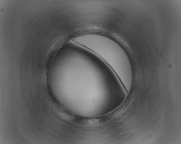 X0000074300501200608250956