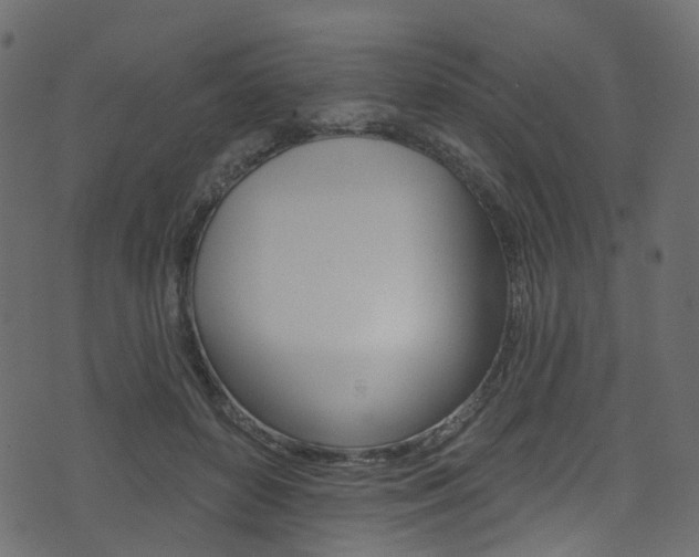 X0000074300504200608250956