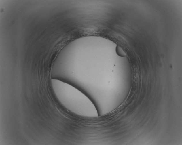 X0000074300507200608250956