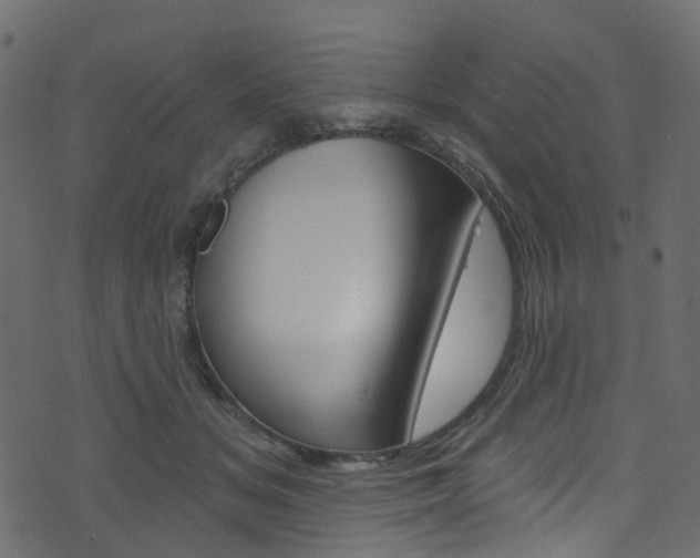 X0000074300509200608250956