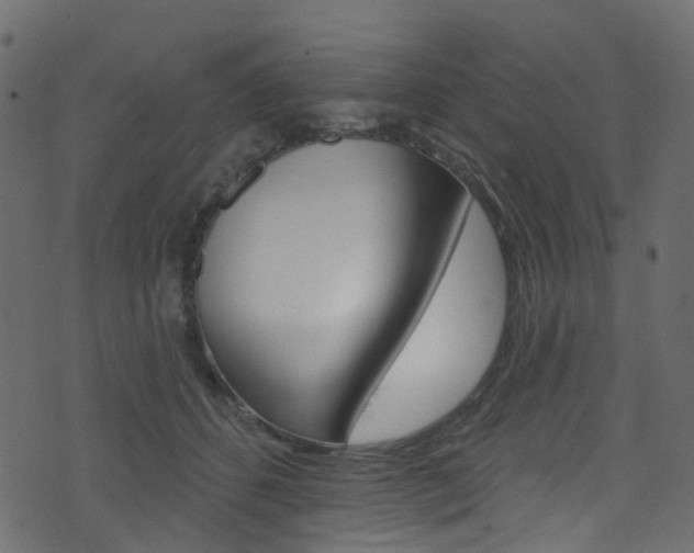 X0000074300512200608250955
