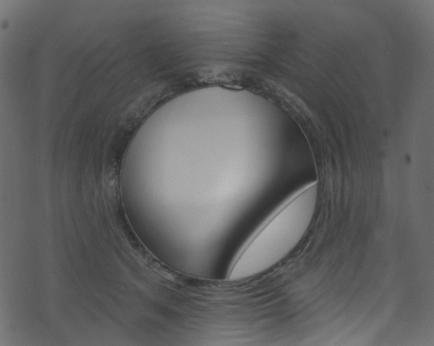 X0000074300513200608250955