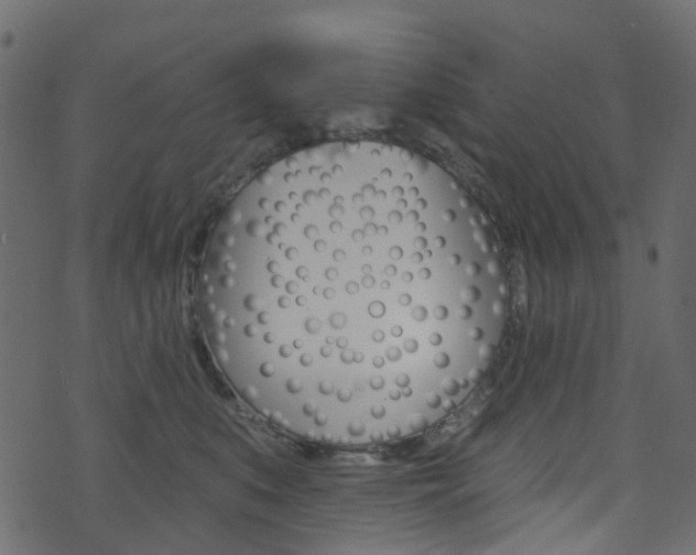X0000074300519200608250955