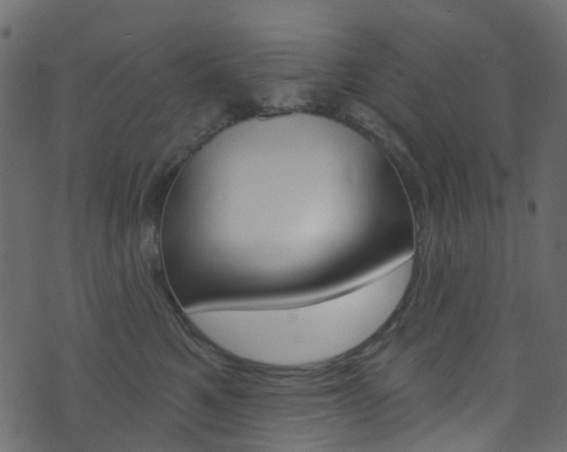 X0000074300521200608250955
