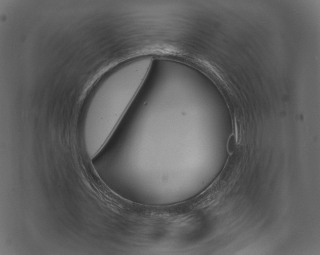 X0000074300531200608250954