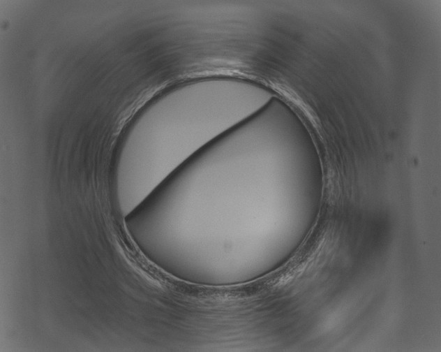 X0000074300533200608250955