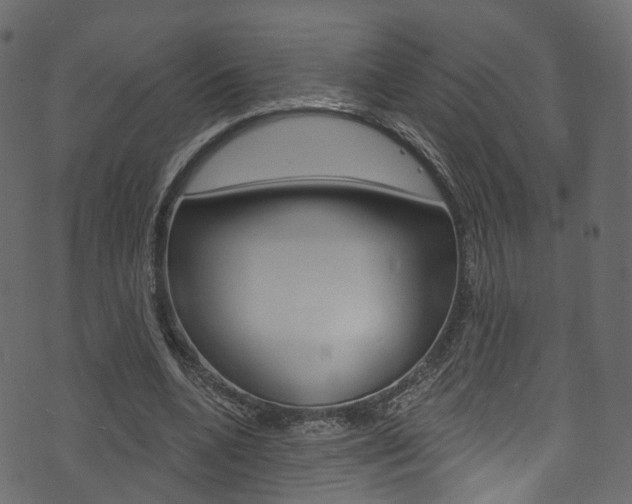 X0000074300536200608250955