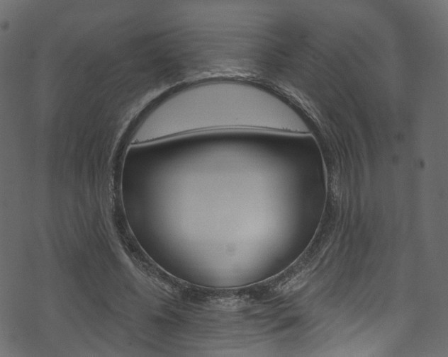 X0000074300540200608250955