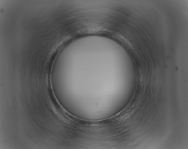 X0000074300542200608250955