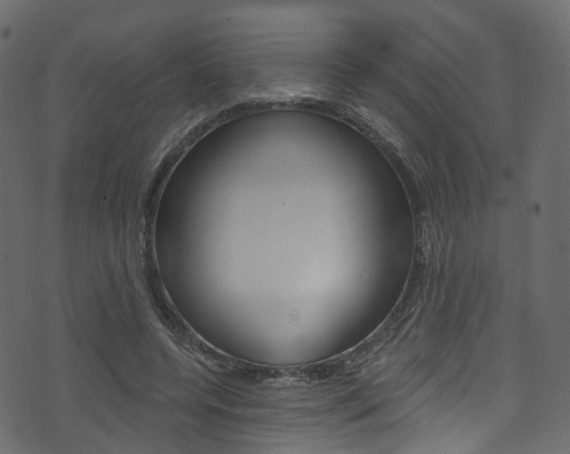X0000074300544200608250955