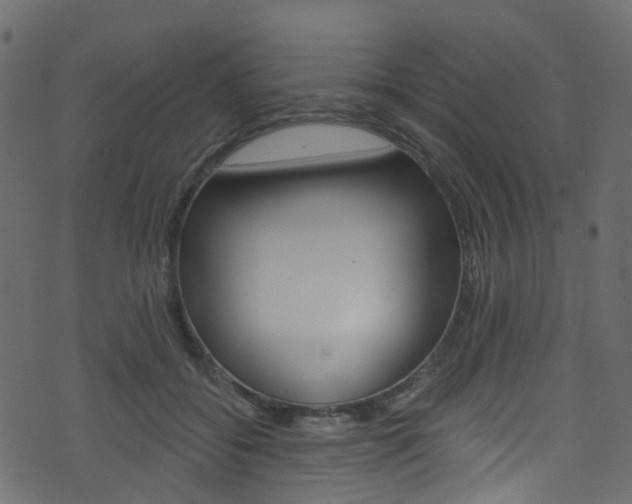 X0000074300556200608250955