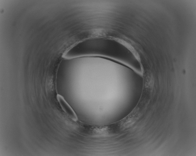 X0000074300560200608250955