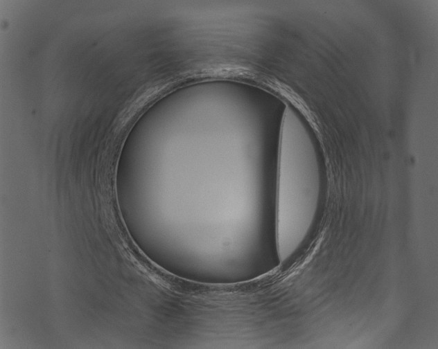 X0000074300577200608250954