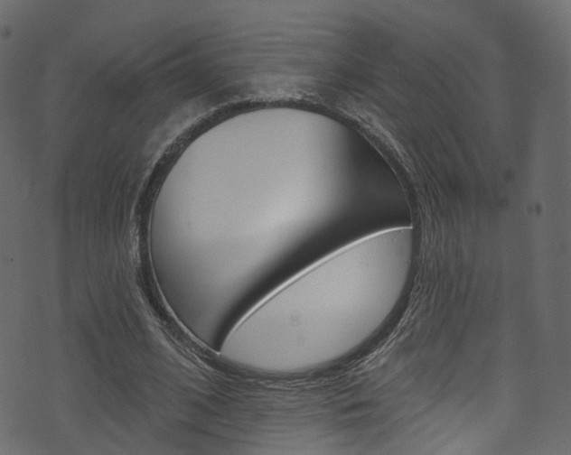 X0000074300584200608250954
