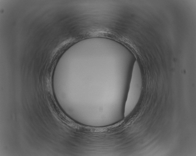 X0000074300587200608250954