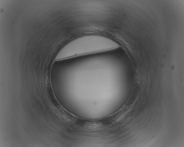 X0000074300597200608250954