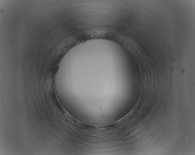 X0000074300604200608250954