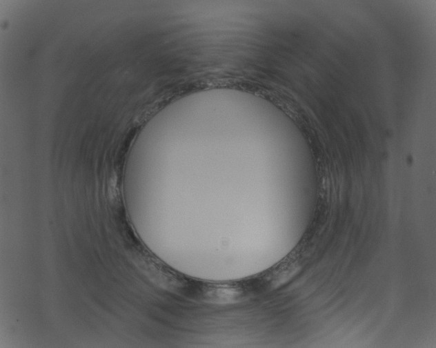 X0000074300610200608250954