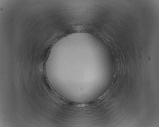 X0000074300611200608250954