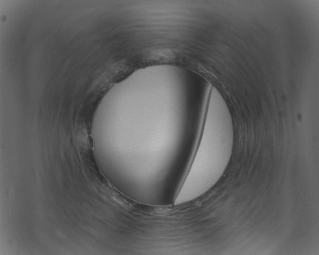 X0000074300617200608250954