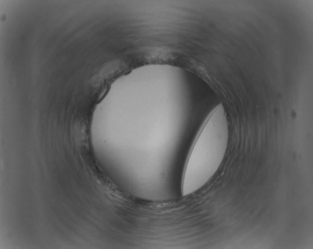 X0000074300619200608250954