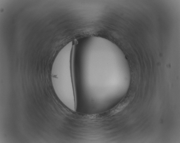 X0000074300624200608250954