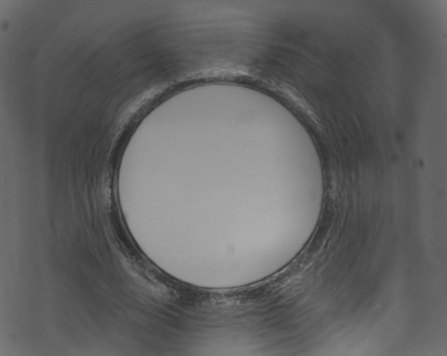 X0000074300632200608250953
