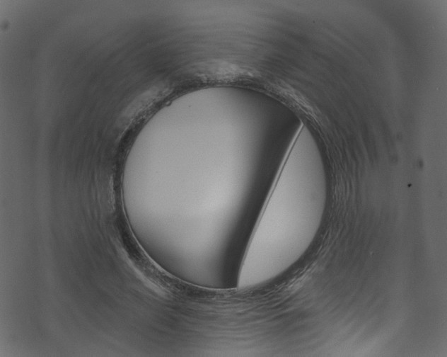 X0000074300638200608250953